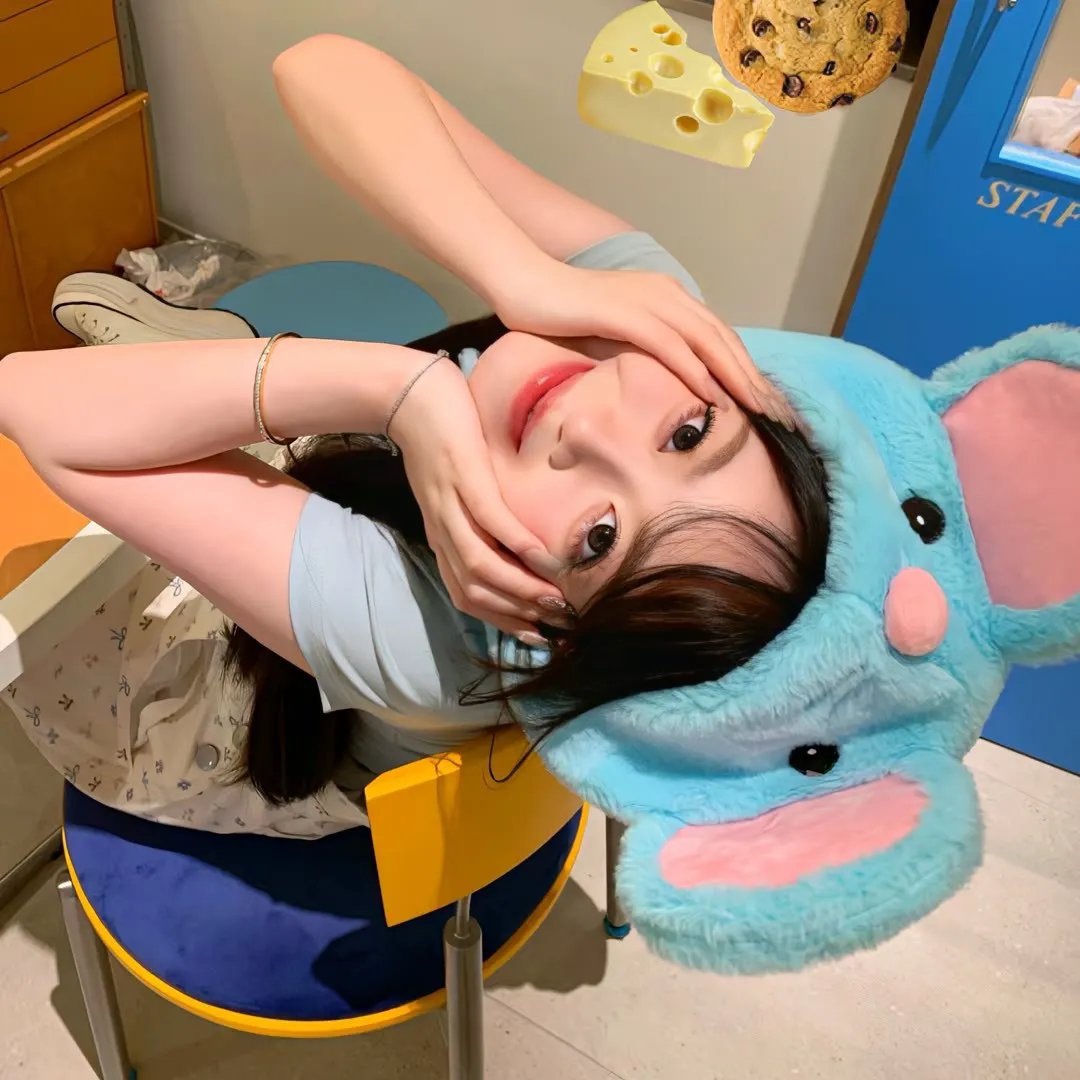 甄嬛爱不停
